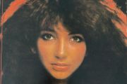 Kate Bush - Debut Album. German first pressing with printed inner sleeve. Vinyl looks unplayed.