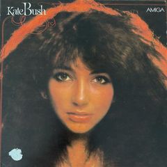 Kate Bush - debut album. German first pressing with printed inner sleeve. Vinyl looks unplayed.
