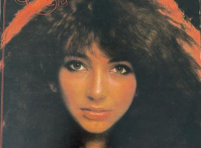 Kate Bush - Debut Album. German first pressing with printed inner sleeve. Vinyl looks unplayed.