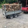 kiln dried firewood Image 6