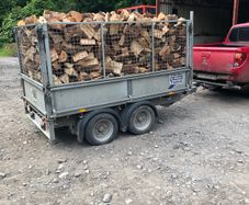 firewood