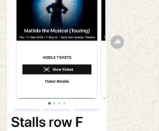 Matilda The Musical Bord Gais