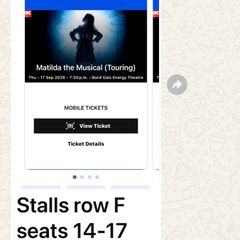 Matilda The Musical Bord Gais
