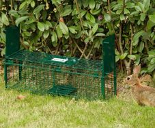 Humane Rat & Rodent Live Trap