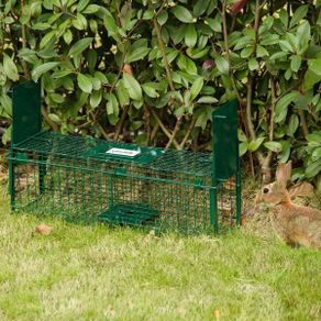 Humane Rat & Rodent Live Trap