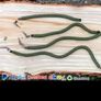 Salmon &trout wriggle weights for river fishing Image 2
