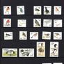 2002-3 Ireland Birds of Ireland Stamp Presentation Pack. Includes all definitive stamps of the Euro Definitive set including 36c wren (only available in booklet) Image 8