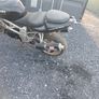 Suzuki tl 1000 1998 Image 4