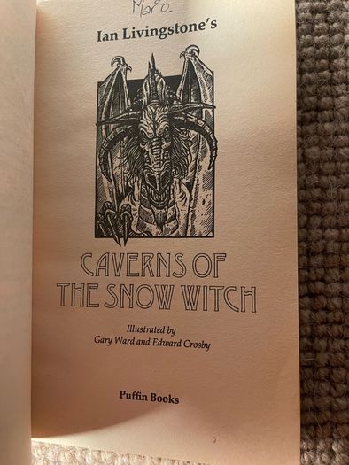 Caverns of the Snow Witch (Fighting Fantasy #9)