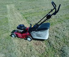 lawnmower