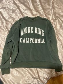 Anine Bing