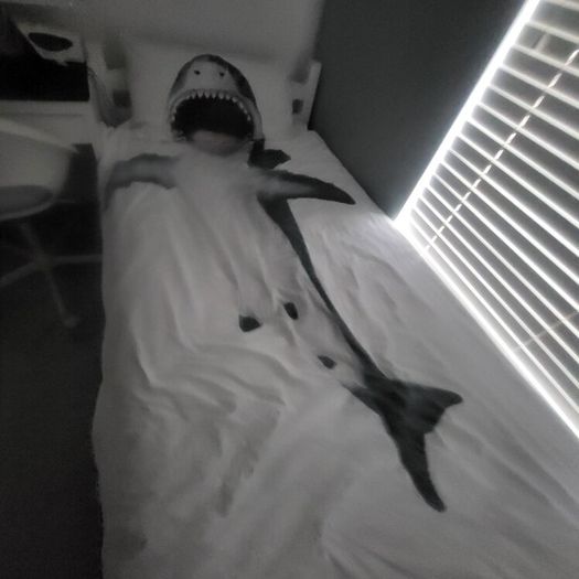 SIngle wood framed bed and mattress