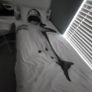 SIngle wood framed bed and mattress Image 4