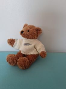 Teddy