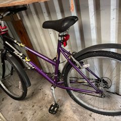 Ladies purple bike