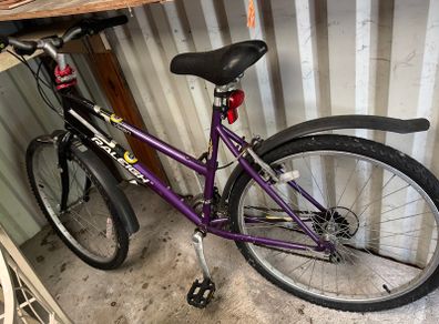 Ladies purple bike