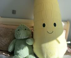 teddies