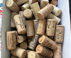 Wine Cork