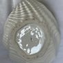 Shell shaped bowl Image 4