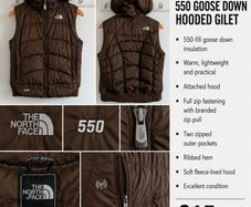 North Face 550 Goose Down Hooded Gilet