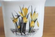 Vintage Royal Worcester Bone China Toothpick Holder
