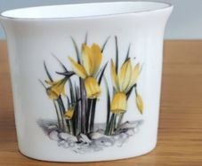 Vintage Royal Worcester Bone China Toothpick Holder