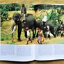 Indiana Jones And The Temple of Doom - Storybook Image 3