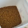 Schnauzer food, bed and crate Image 2