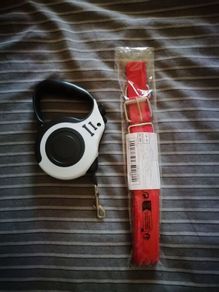 Dog collar and retractable lead