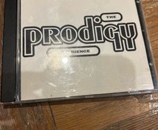 The Prodigy - The Prodigy Experience