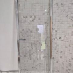 shower door...never used