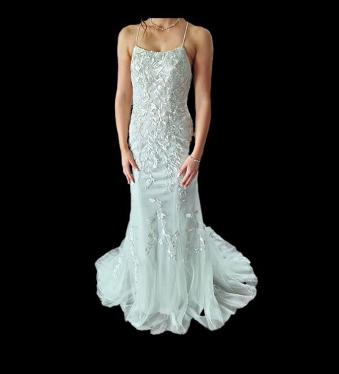 Stacees Prom Dress