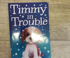 Timmy in Trouble Holly Webb