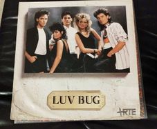 The hits of Luv Bug lp