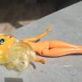 Applejack Apple Jack Equestria Doll MLP G4 My Little Pony 2014 Image 4