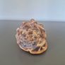 Large Shell Home decor Image 6
