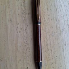 Pens - Waterman ( Reduced)