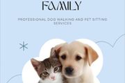 Pet Minder / Dog Walker