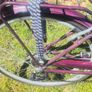 Ladies Bicycle Image 7