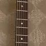 Fender Squier Telecaster Baritone Conversion 27" Neck (Paranormal Cabronita 2021) Image 3