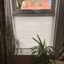 NEW - Pleated blind, white/top-down bottom-up Image 2