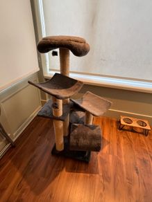 cat tree
