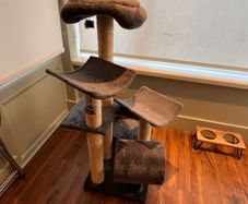 cat tree