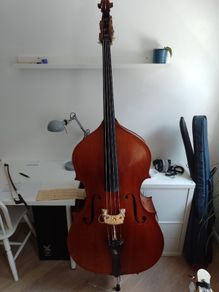 Chadwick folding double upright bass with fiberglass hardcase