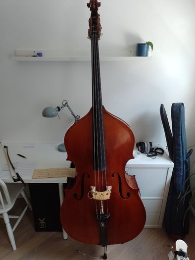 Chadwick folding double upright bass with fiberglass hardcase