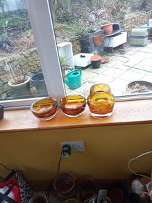 Glassnow Reuced To 60.00