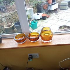 Glassnow Reuced To 60.00