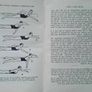 Vintage - Swim like a Fish - How to become an all-Round Swimmer by H. A. Lear Image 5