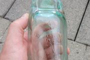 Thwaites Dublin codd neck bottle
