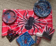 Spiderman Party Bundle